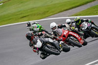 Advanced Group